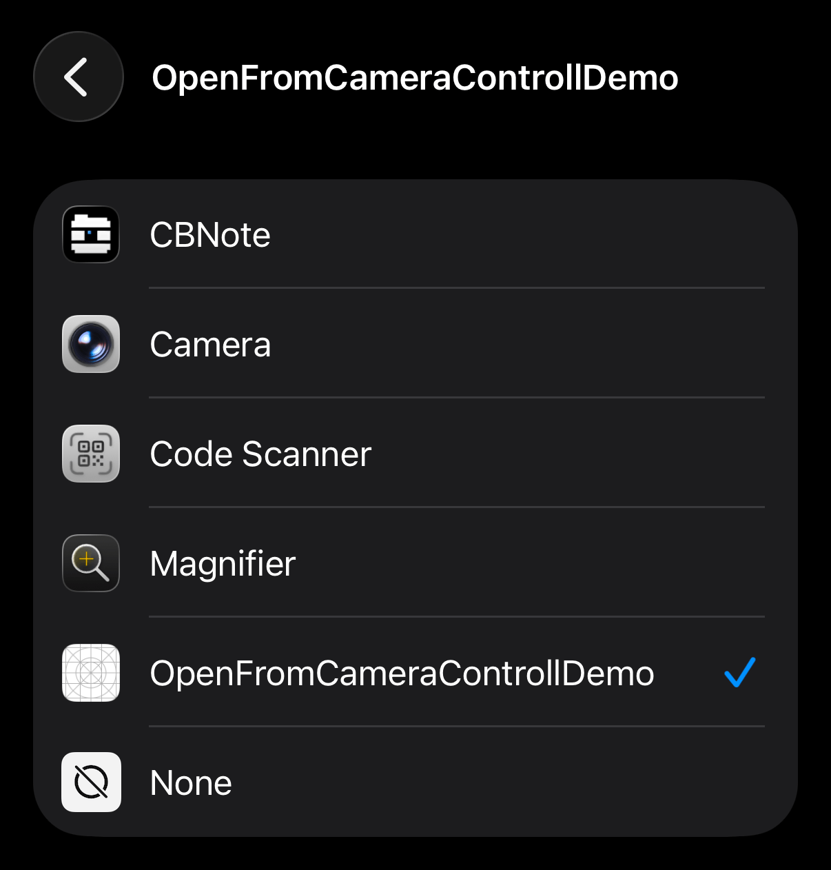 iPhoneの設定内の「カメラを起動」の画面。デモアプリが選択されている。